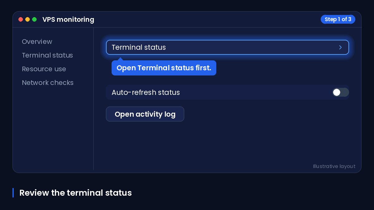 Generic VPS monitoring window showing terminal status, resource use and connection checks